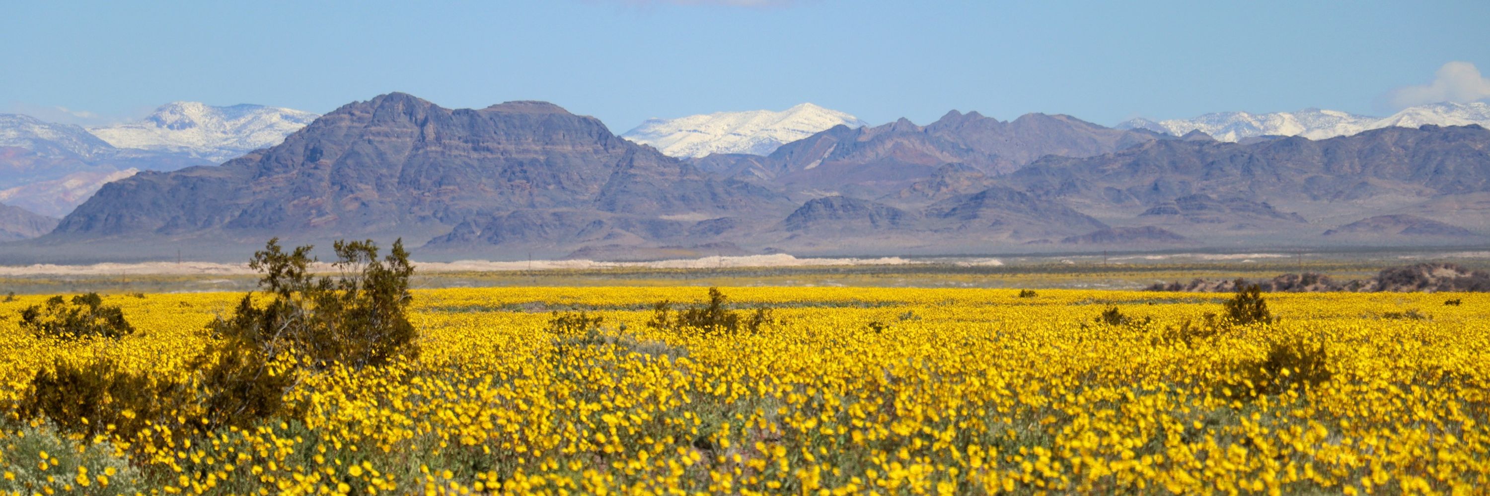 Alan Halaly🏜️🌼🚰 🎰
