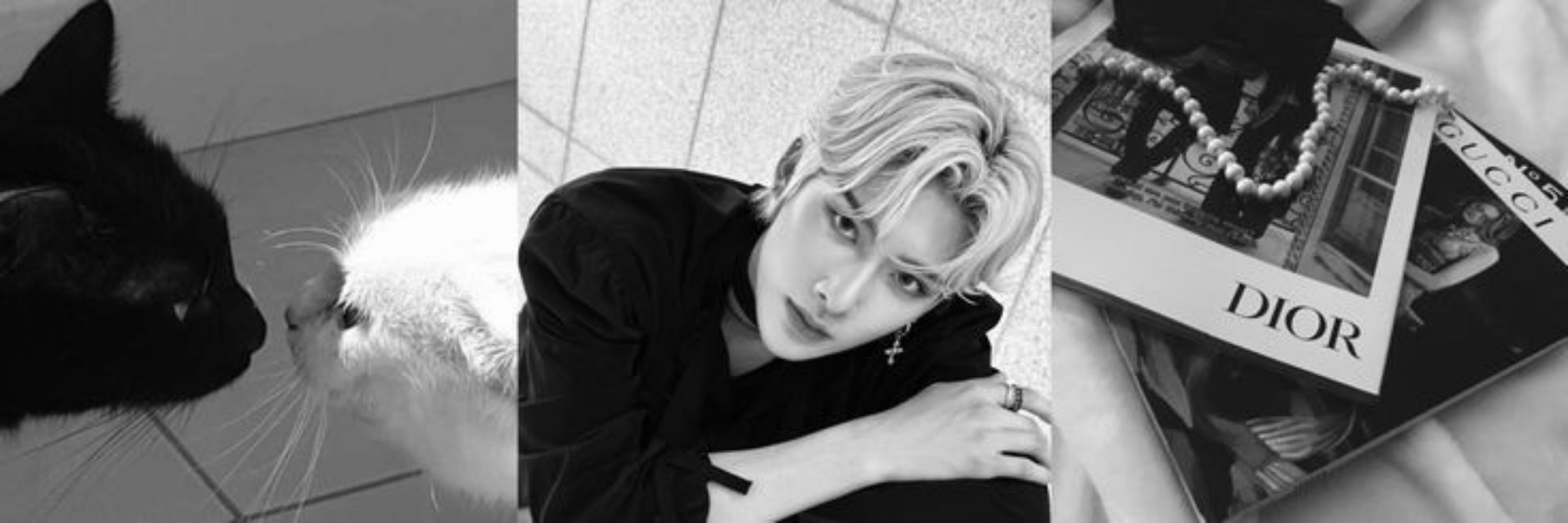 jamie⁷ 彡✧