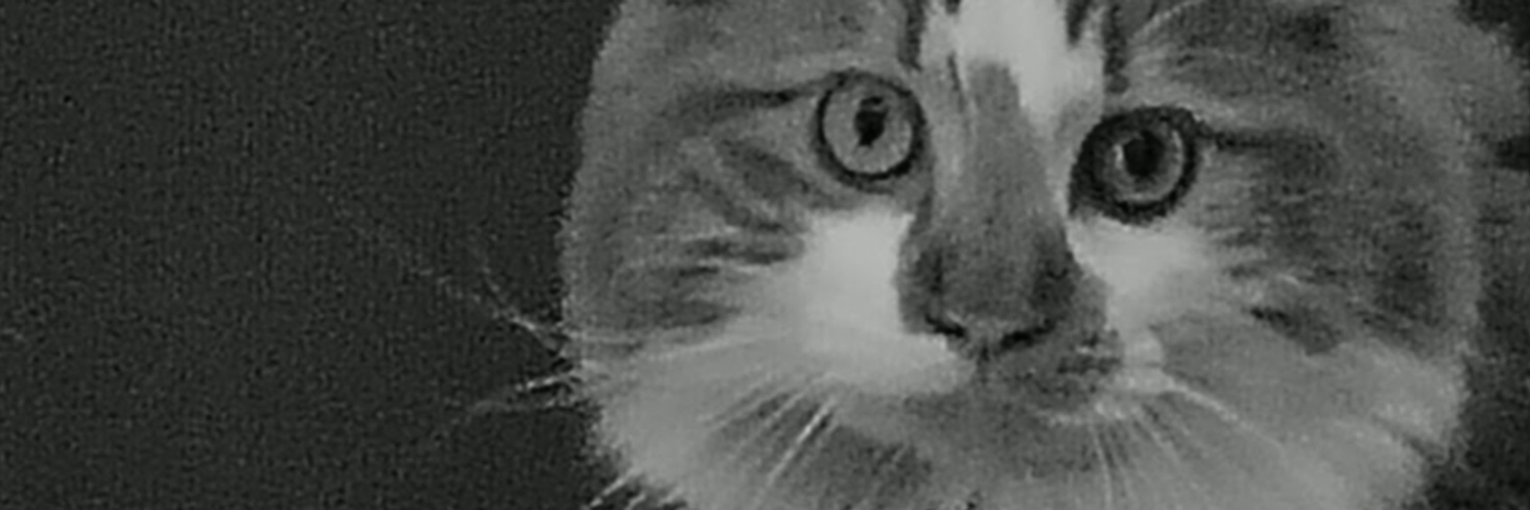 Jasper 