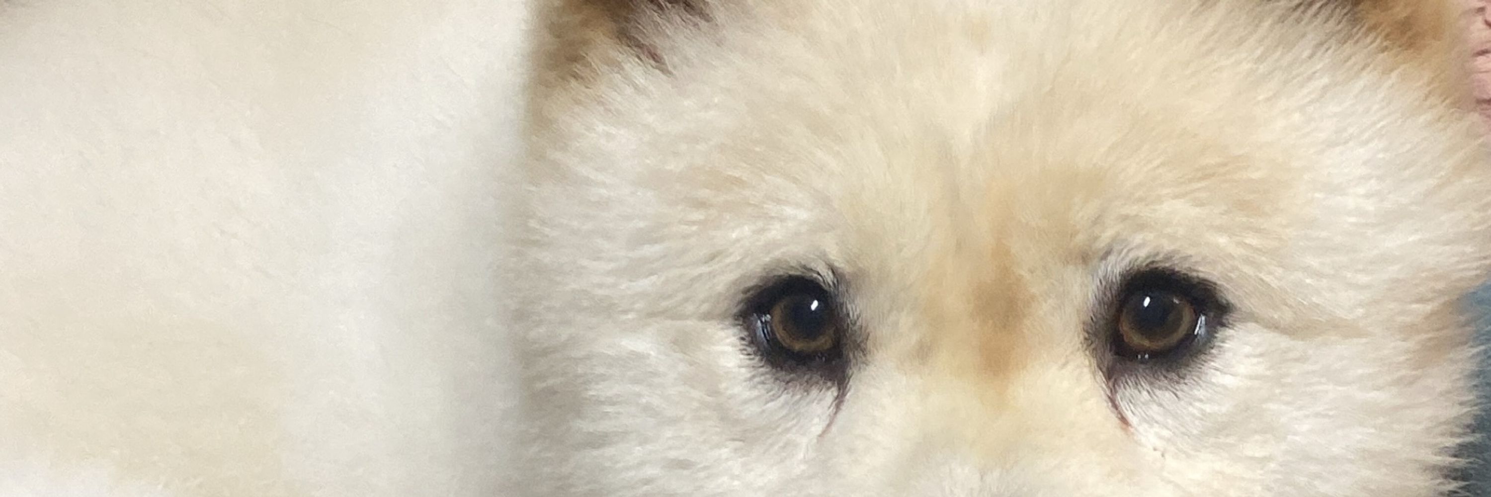 Lay 