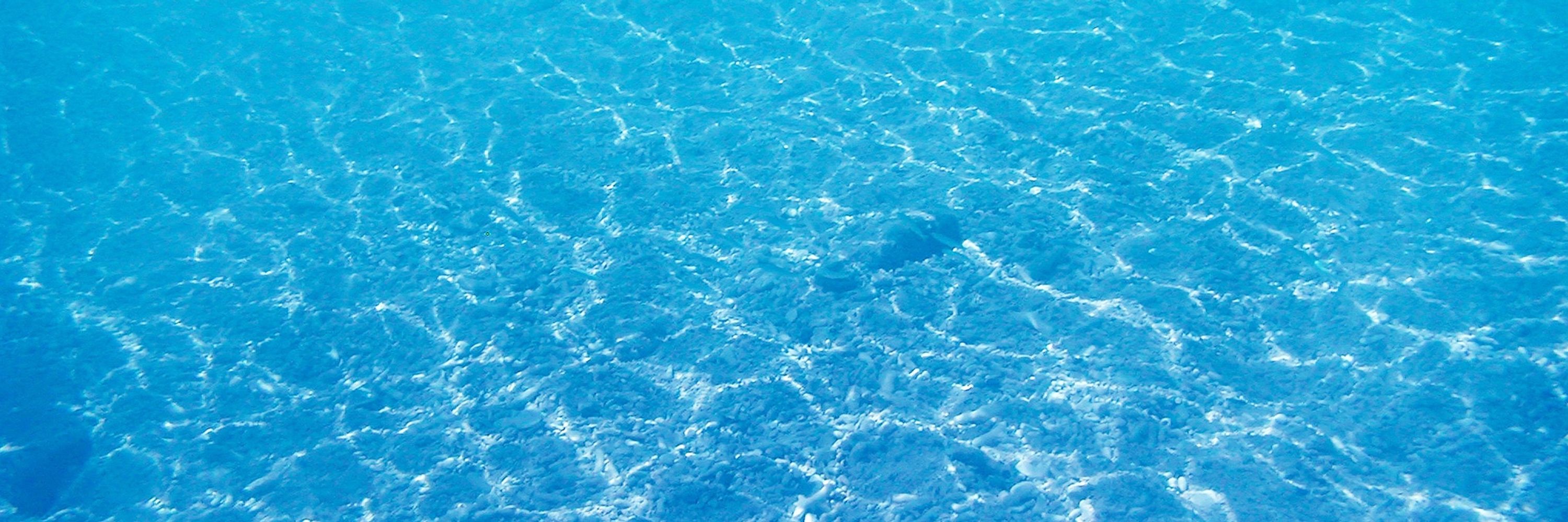 モブクルーアンソロジー企画