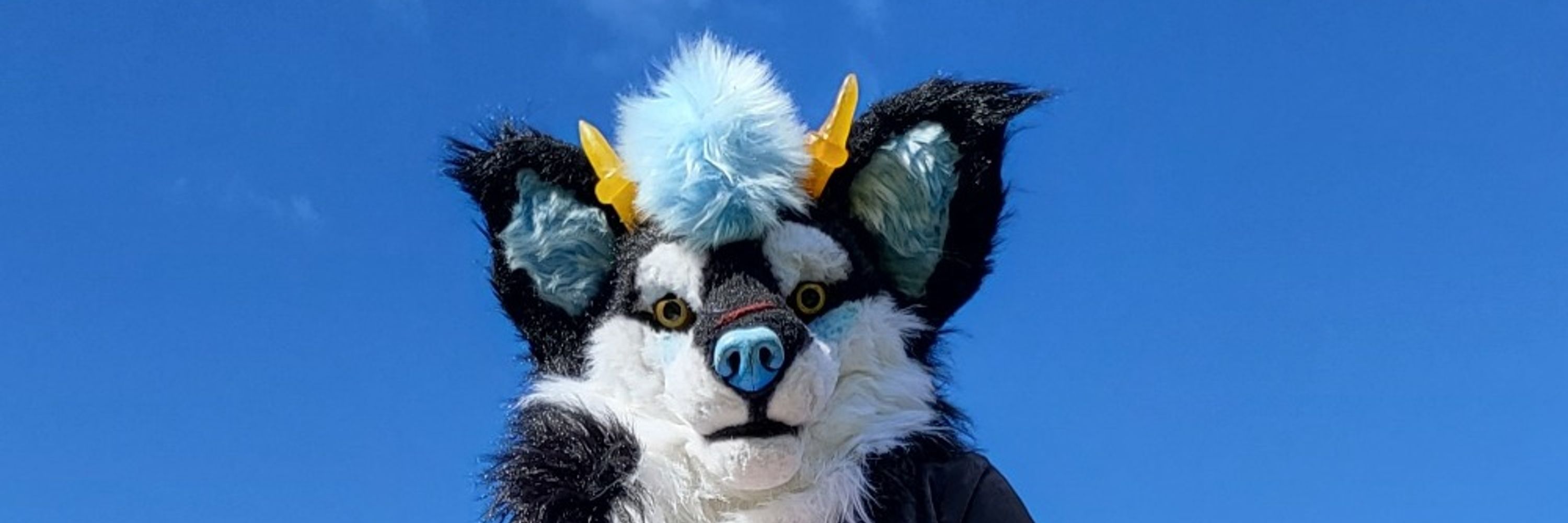 Fizzlepaw 
