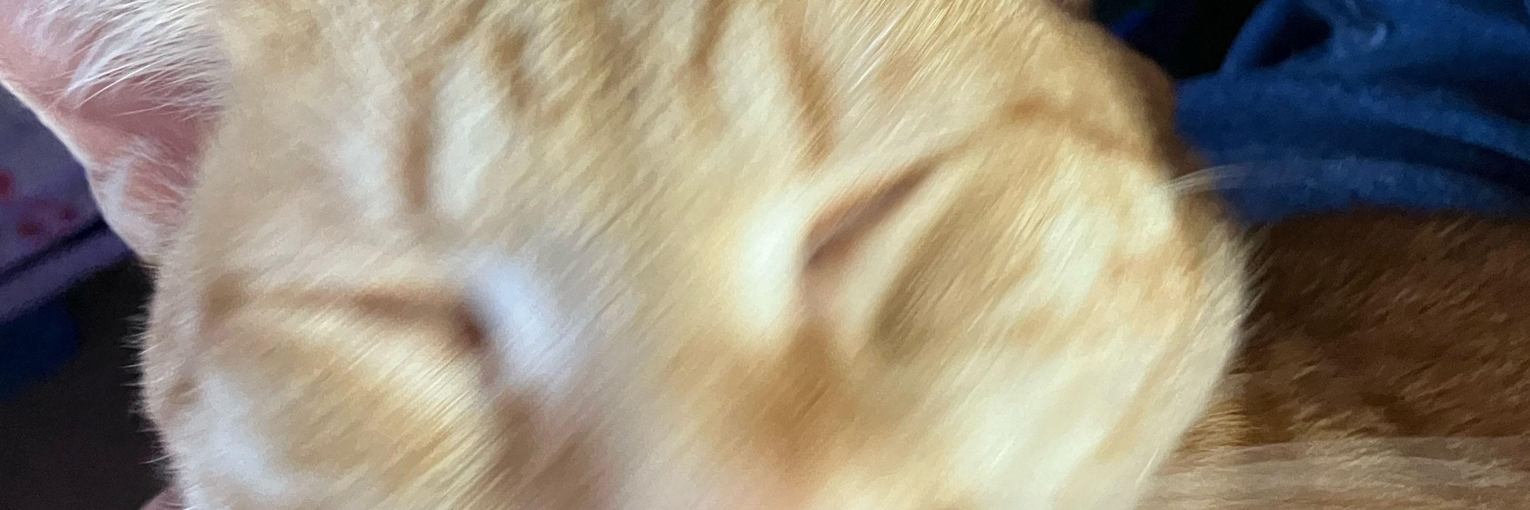 JustJerry