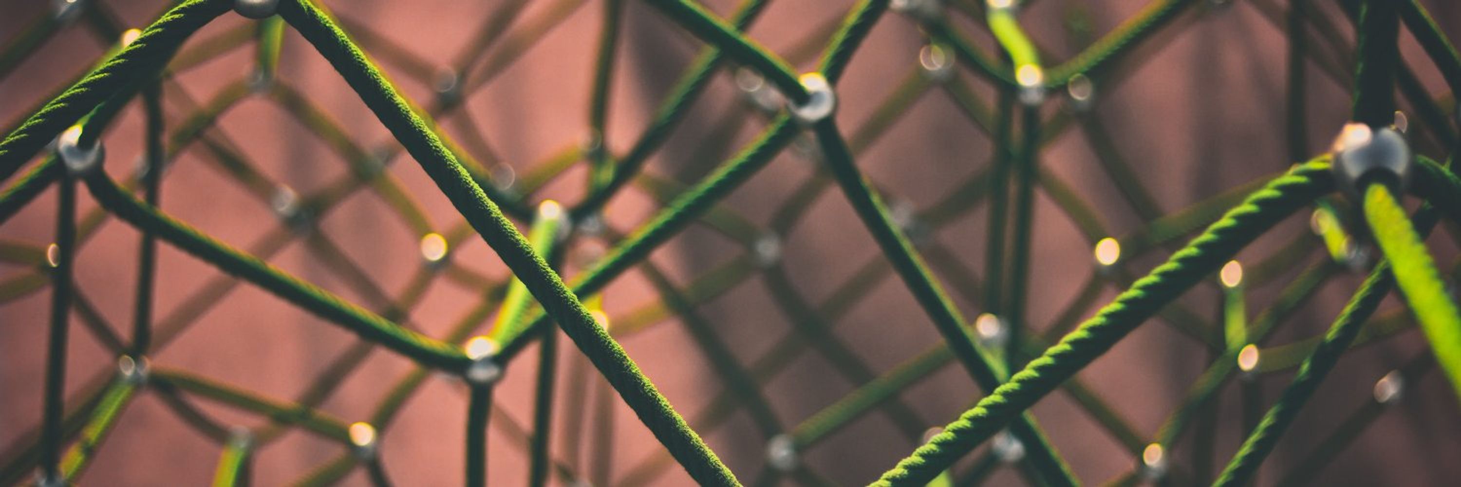 Octopus Community Network