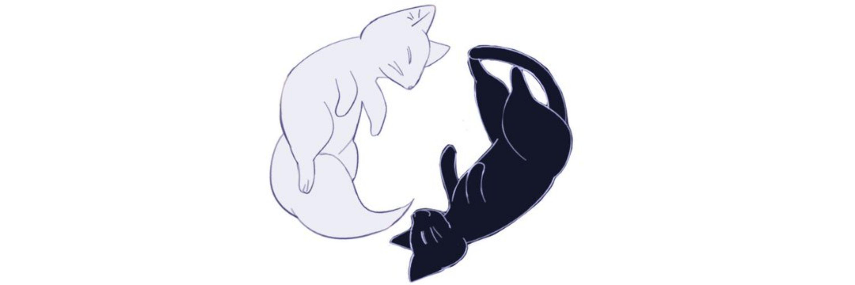 星野汪達