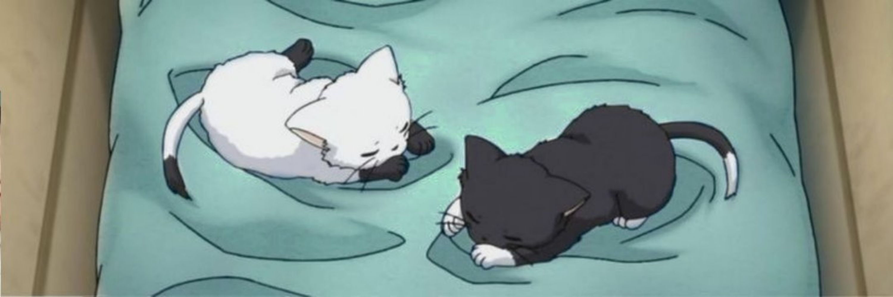 Lyv