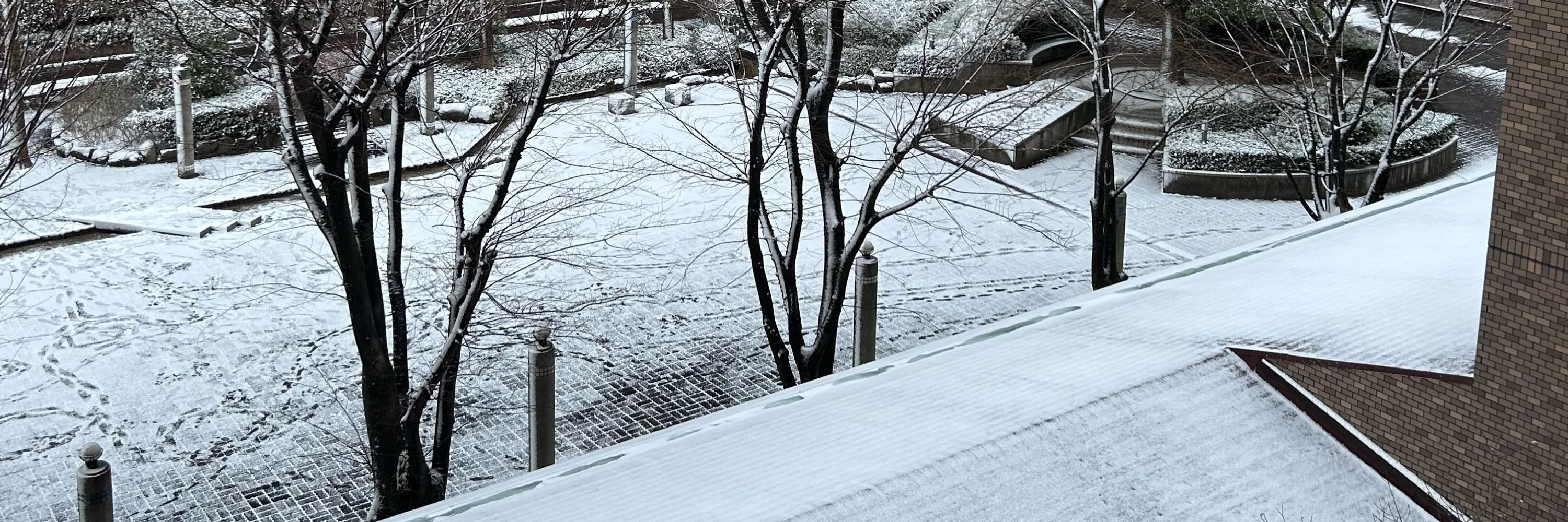 山田