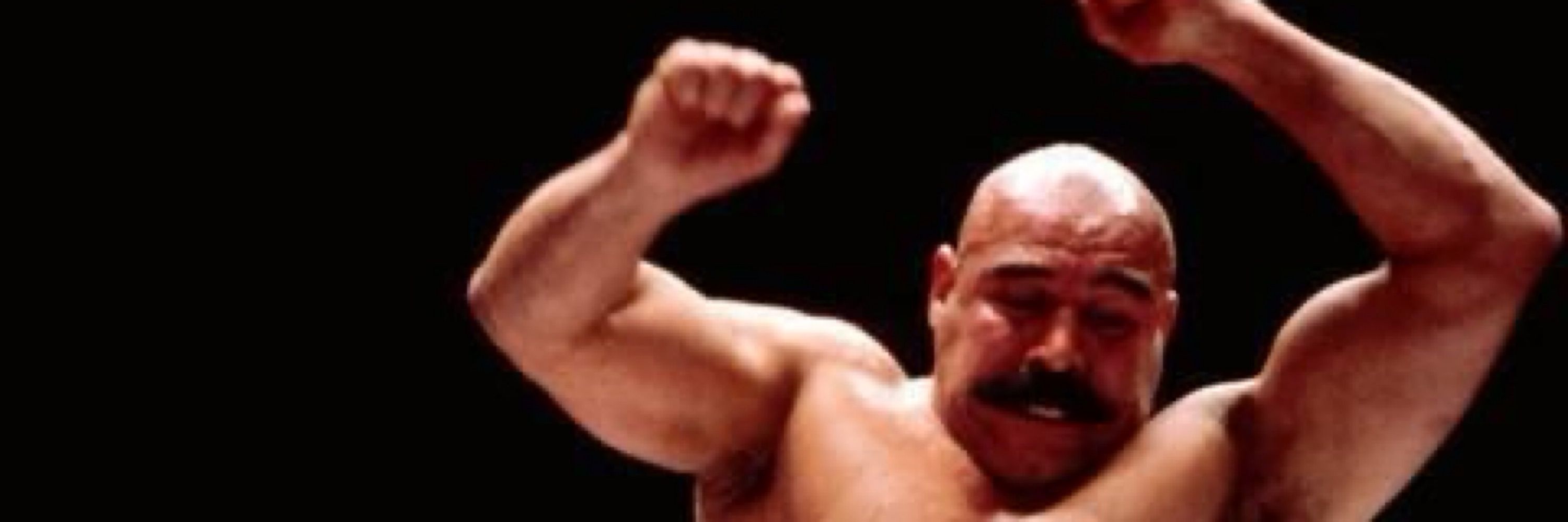The Iron Sheik