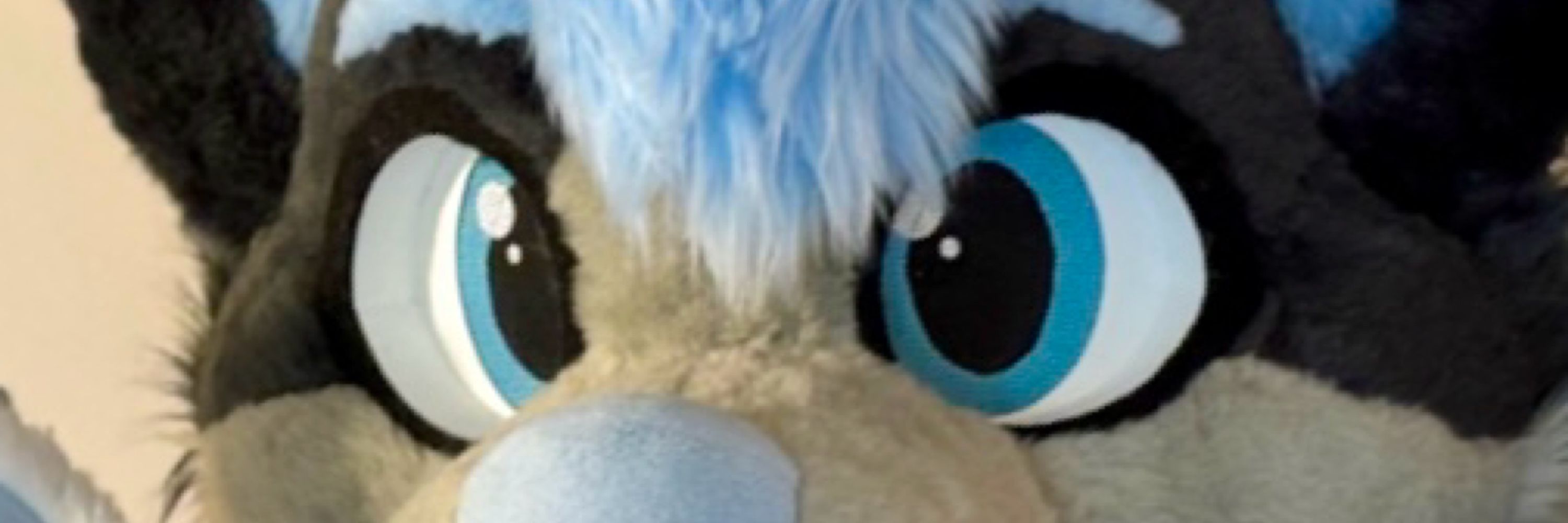 Thad the Hugsky