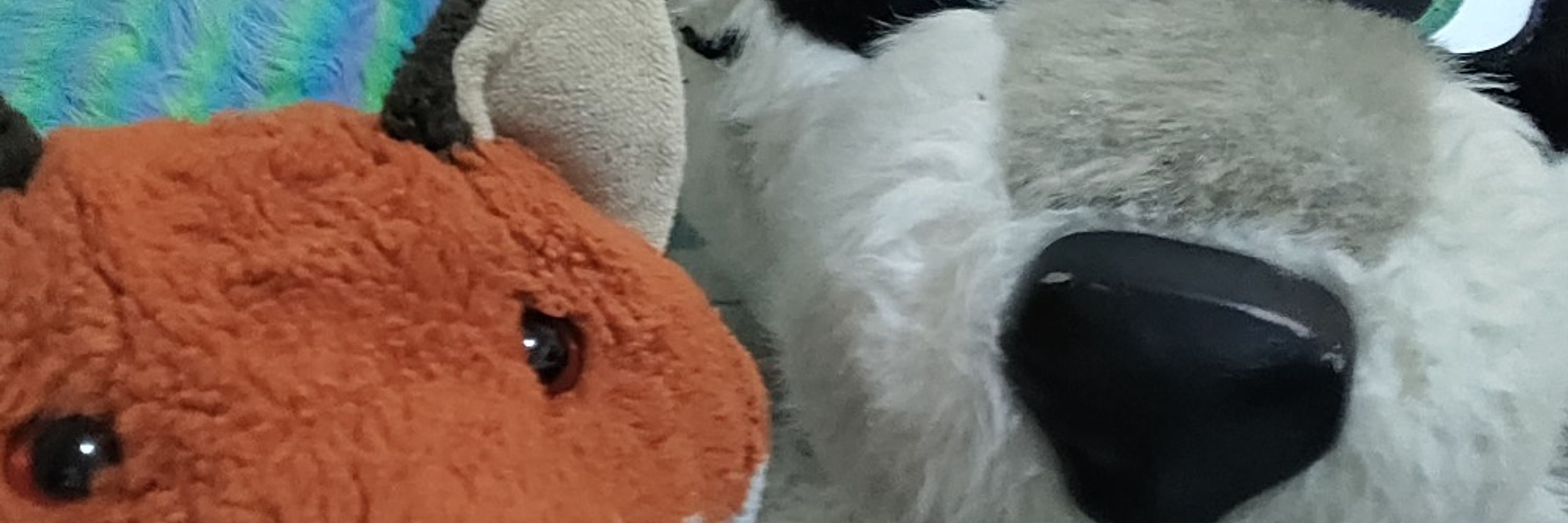 Morton Fox