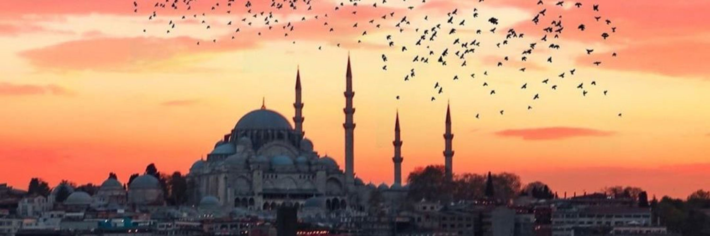 Hakan 🇹🇷