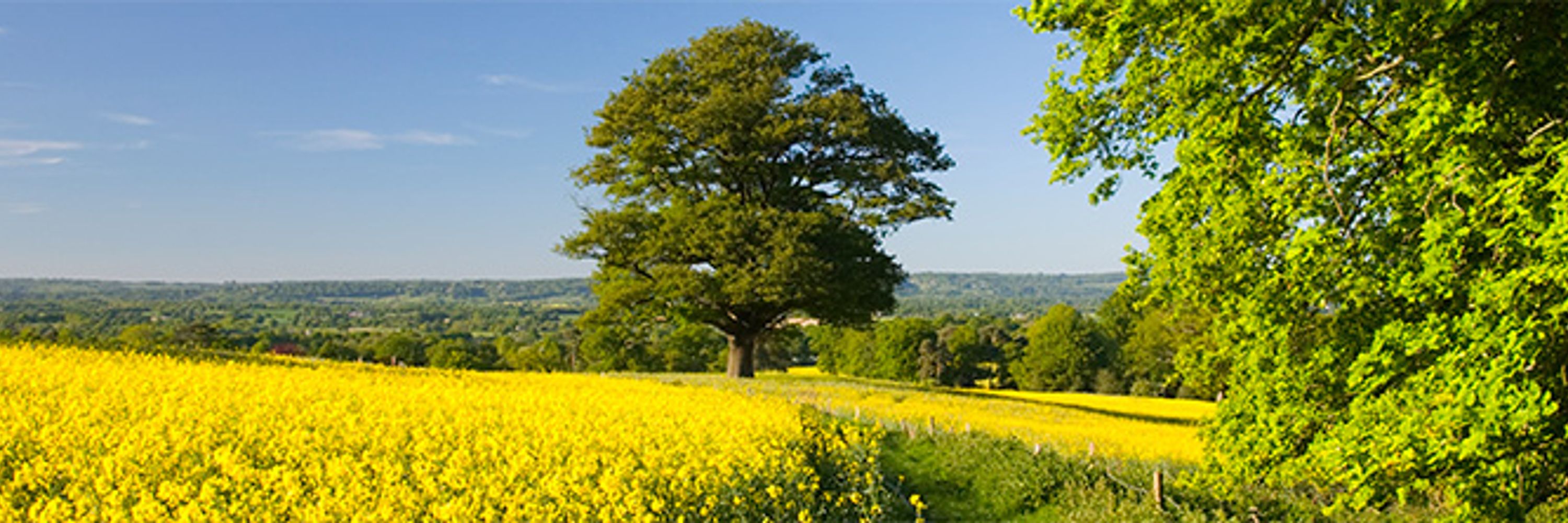 CRPR University of Exeter