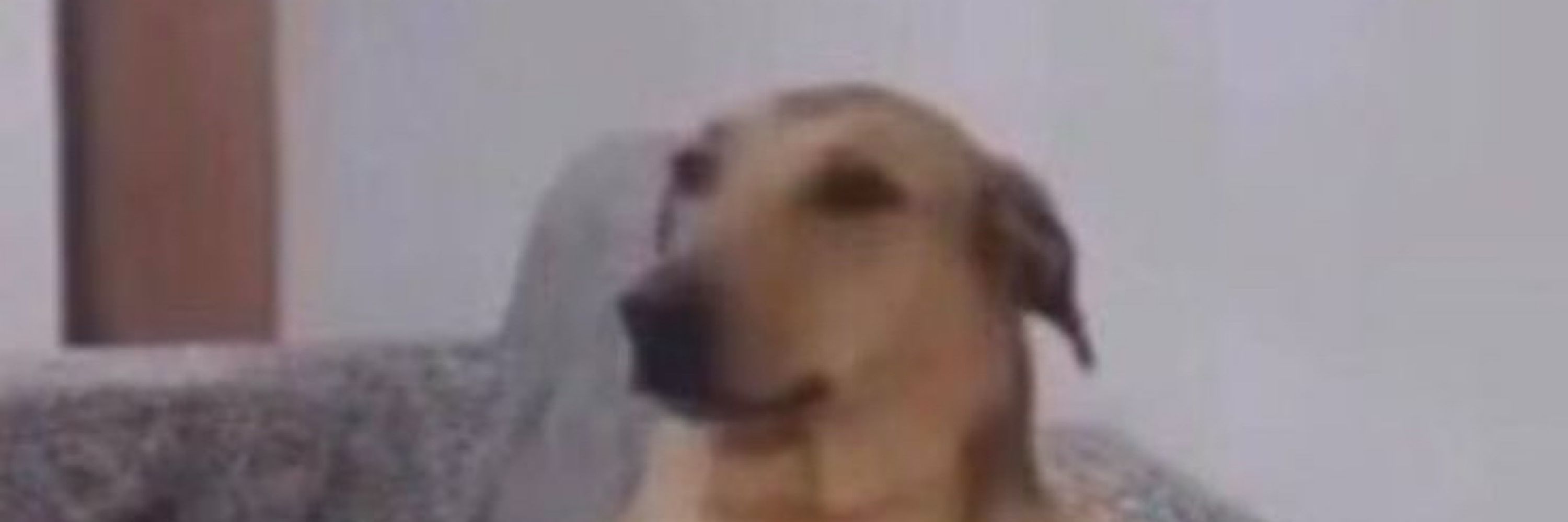 es