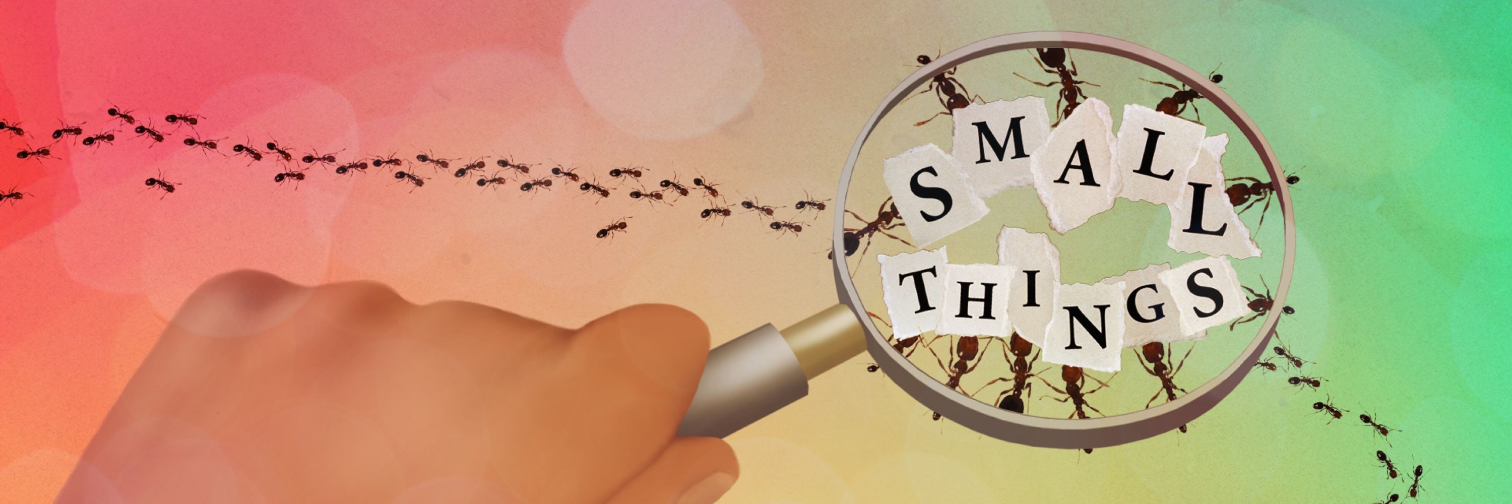 The Science Writer