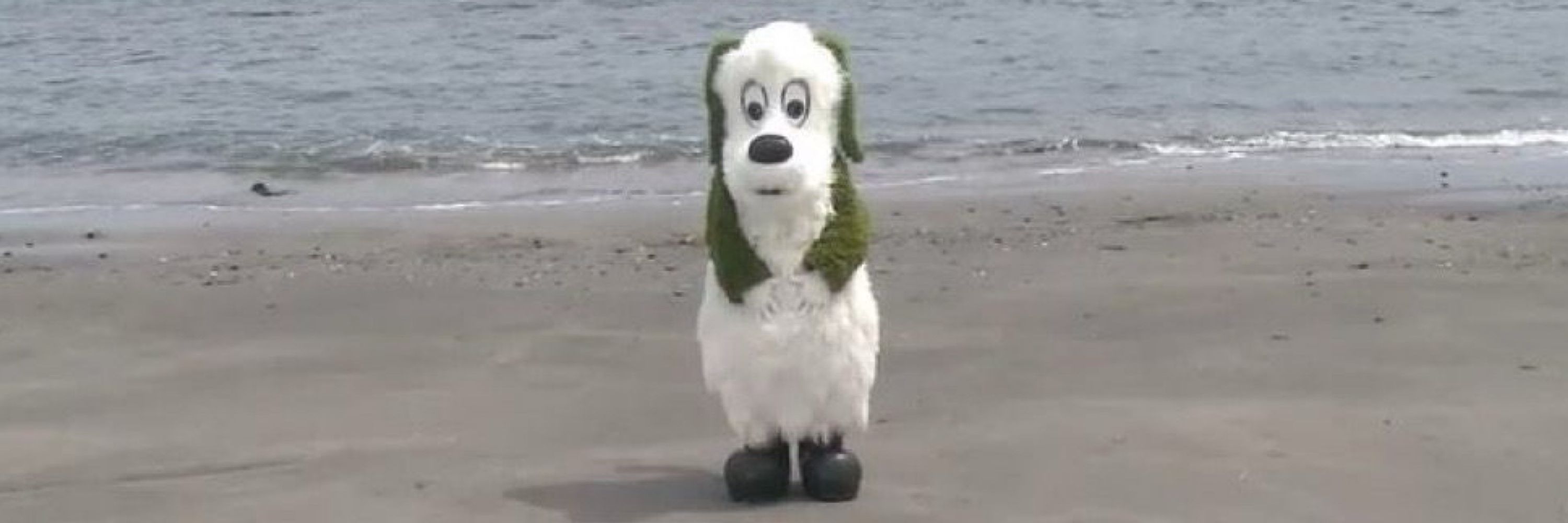 とめぃとぅ