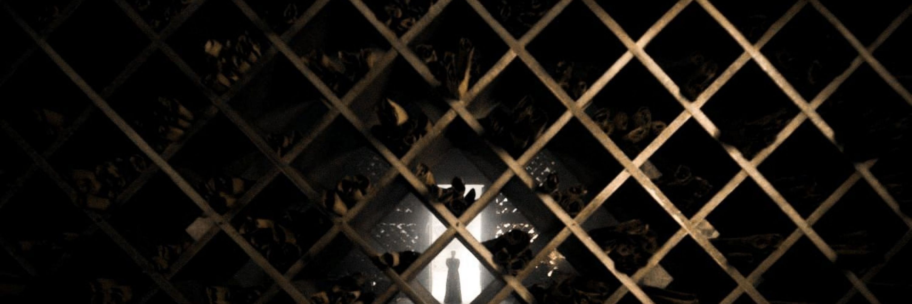 Penumbra⋆.˚  | 📖 : Senhor dos anéis