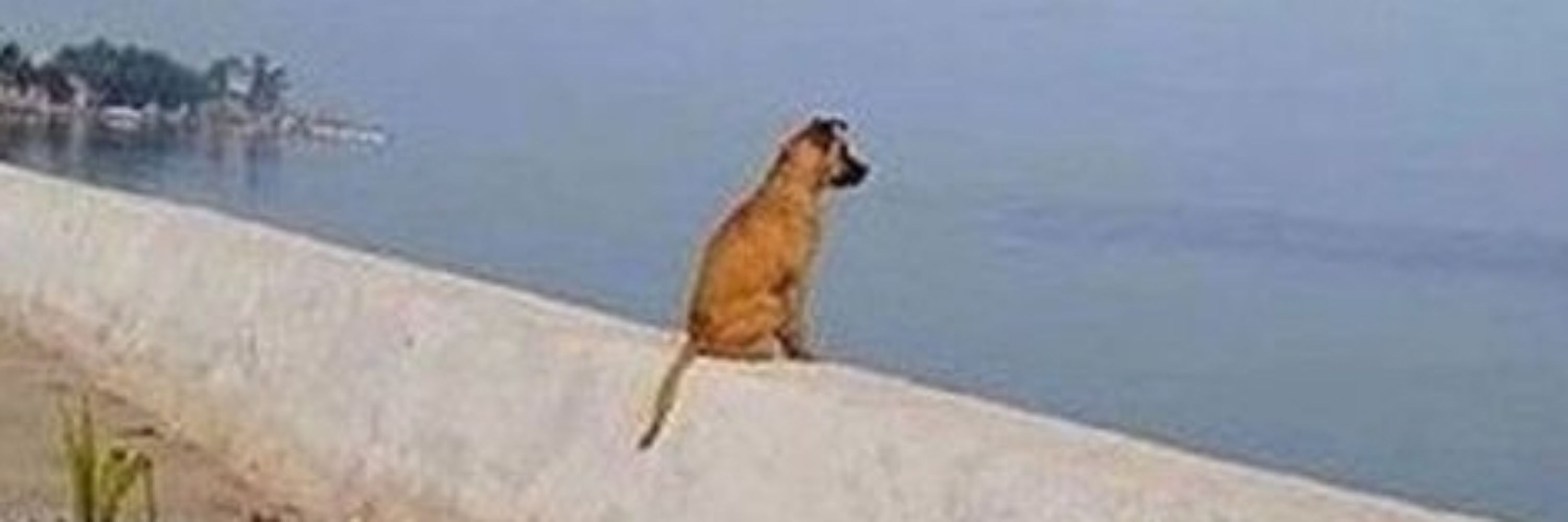 helo?