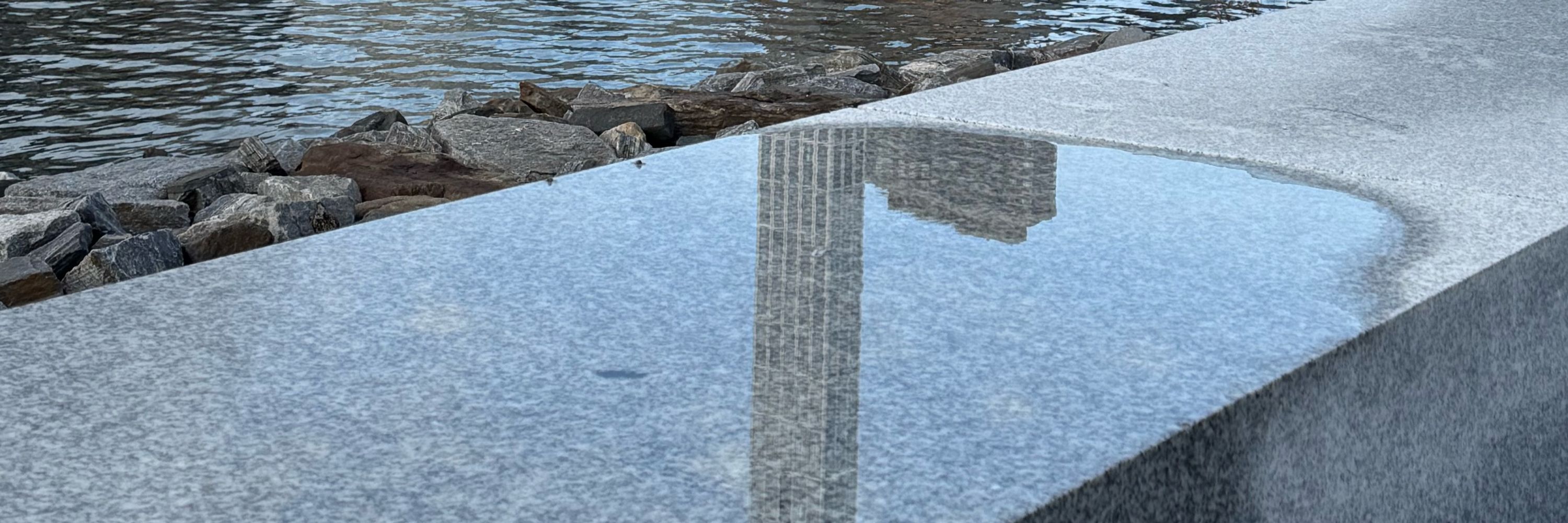 Indivisible Roosevelt Island