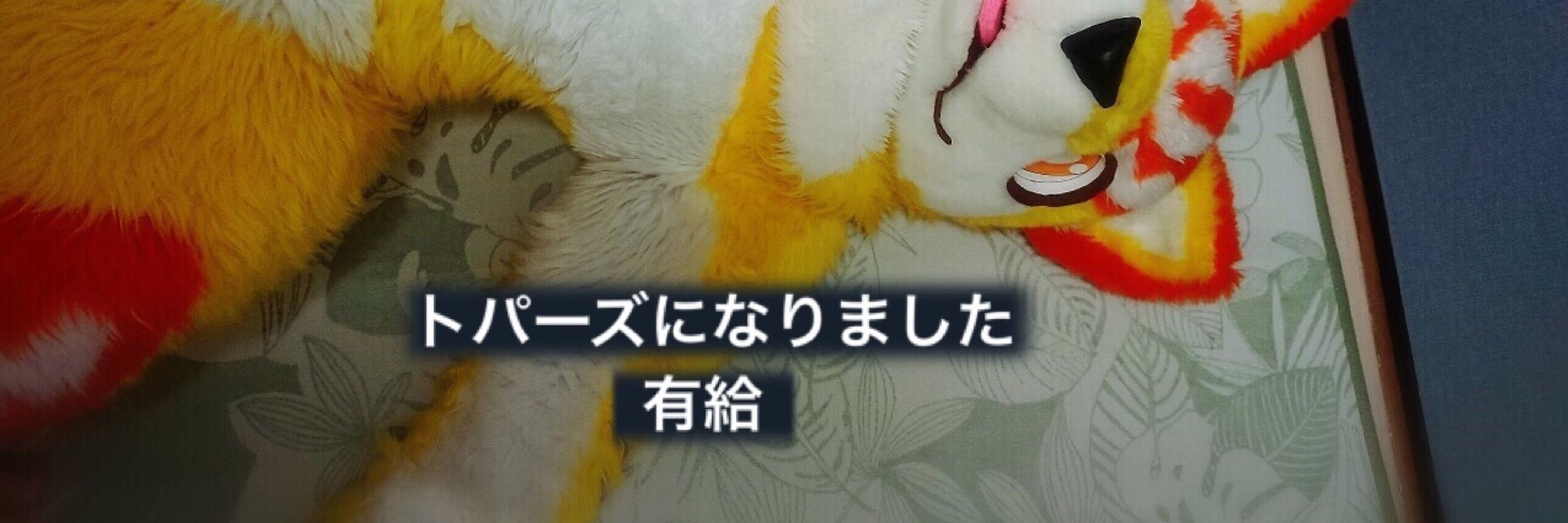 味噌煮込みUDON