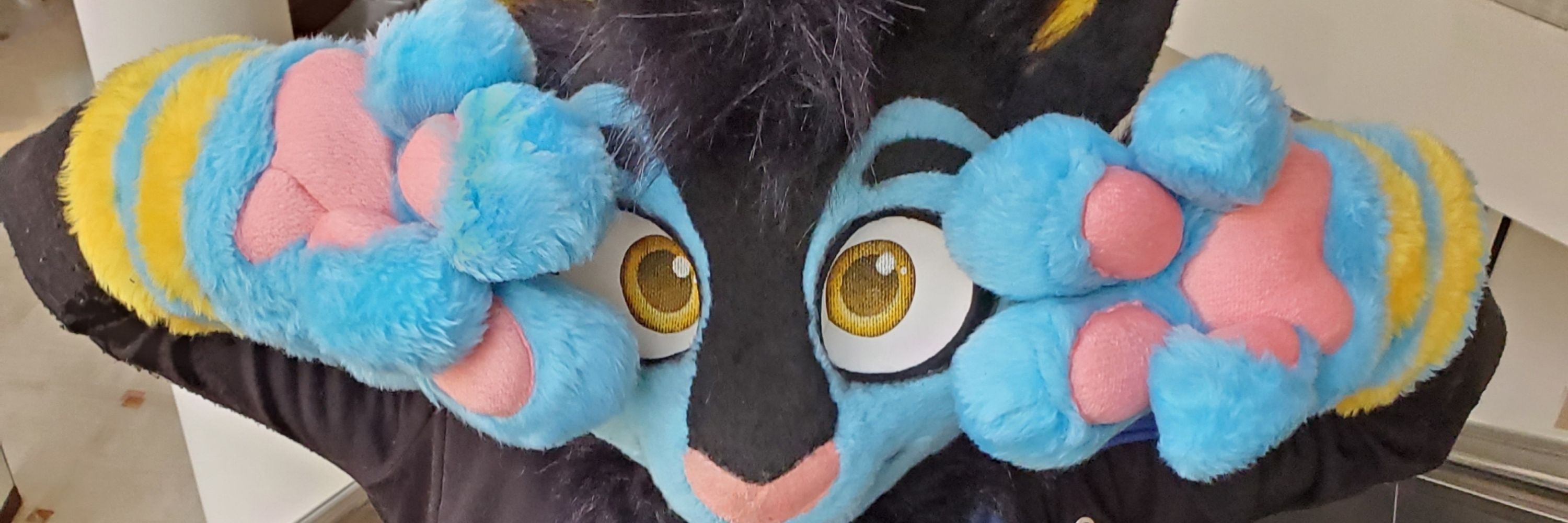 Zapcat! 🔞 🔜 AC