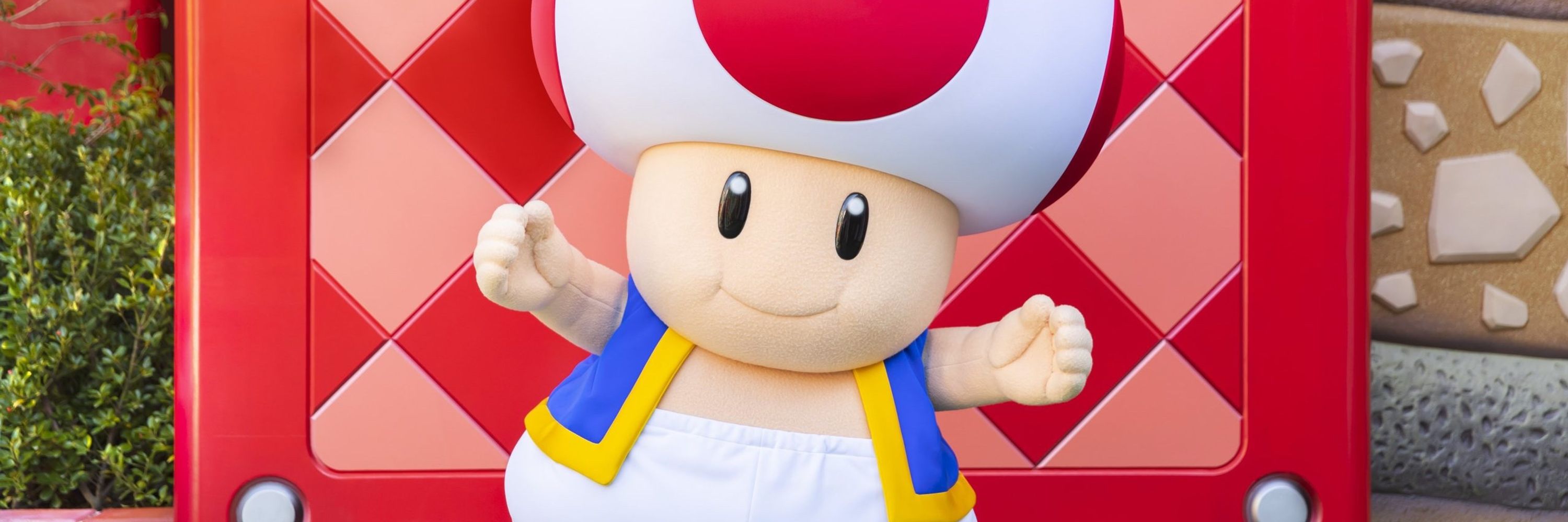 Kirbykoopa