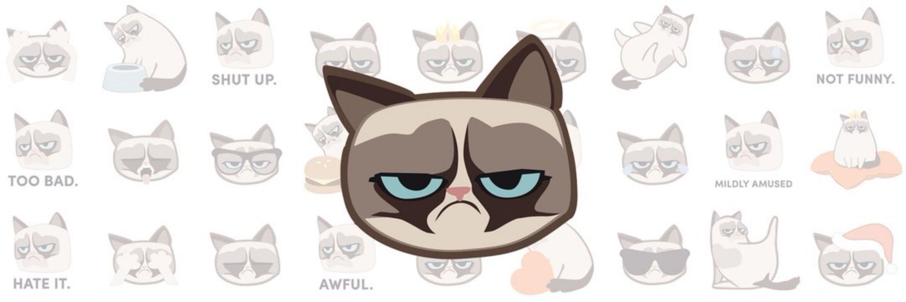 Grumpy Cat 🐾