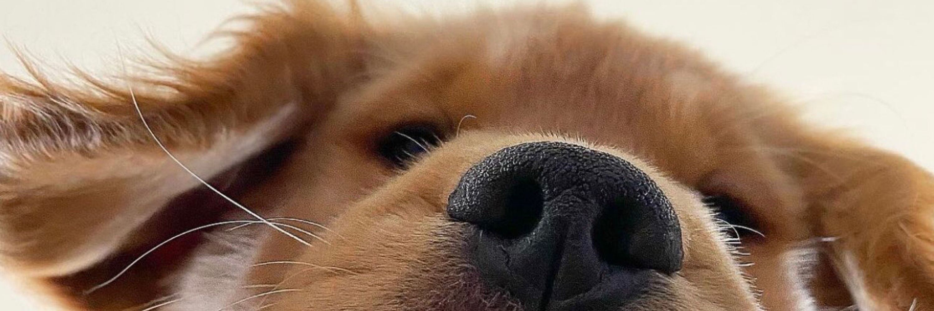 ⋆·˚ ༘ *🔭