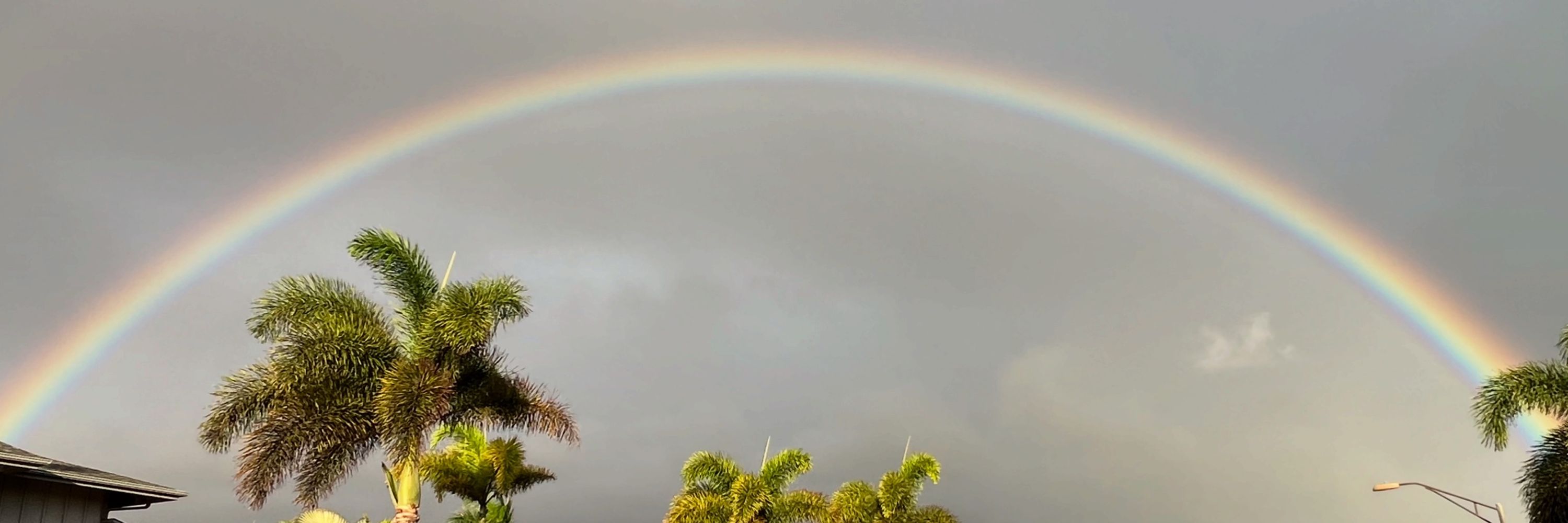 Jennifer Harper Tapler | Maui