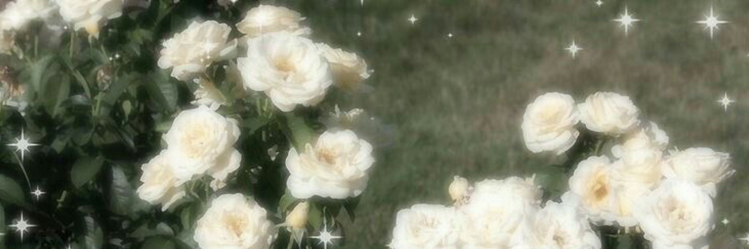 ❀celi 