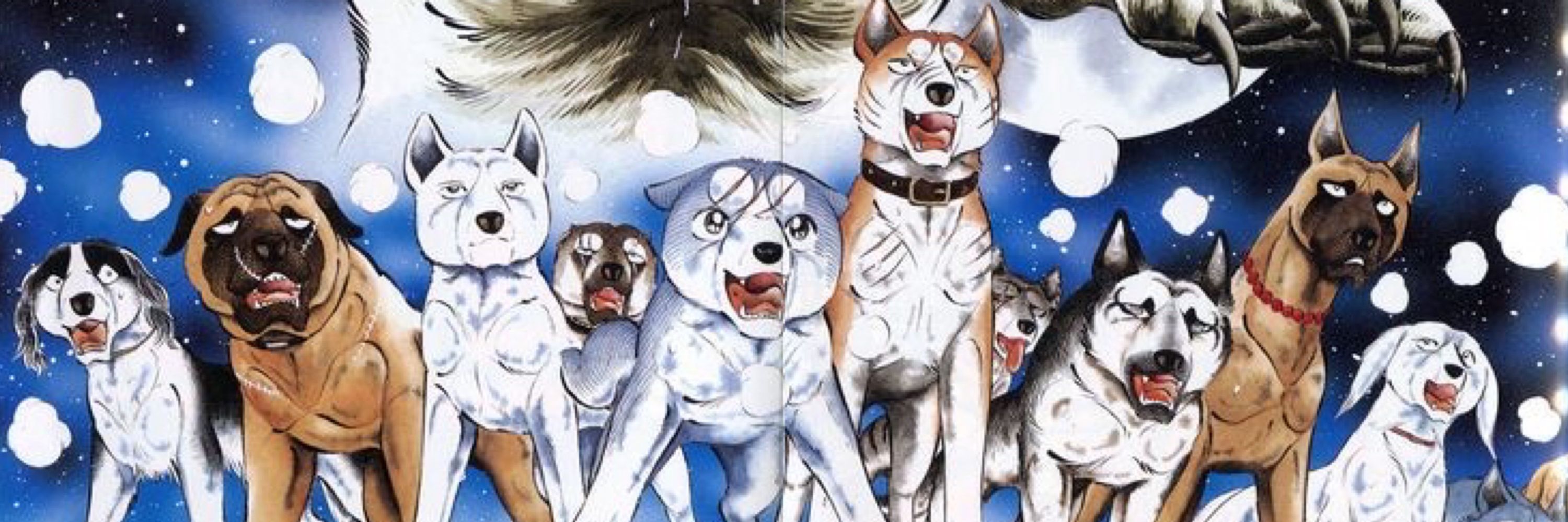 Daily Ginga 🐾