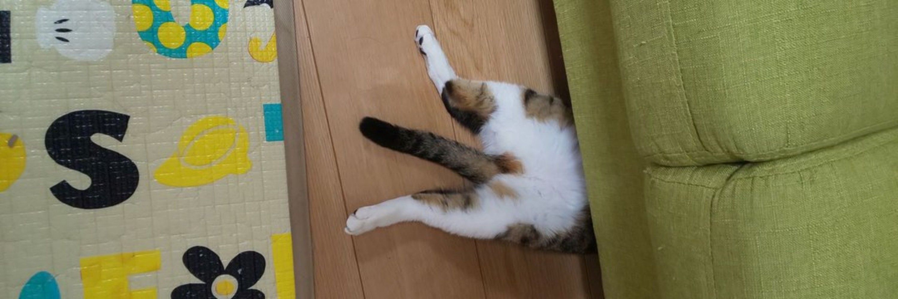 ミチル