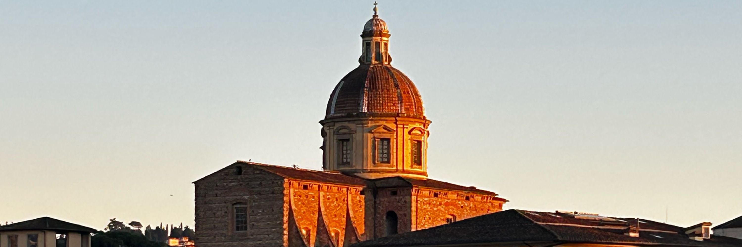 Tomrispinar