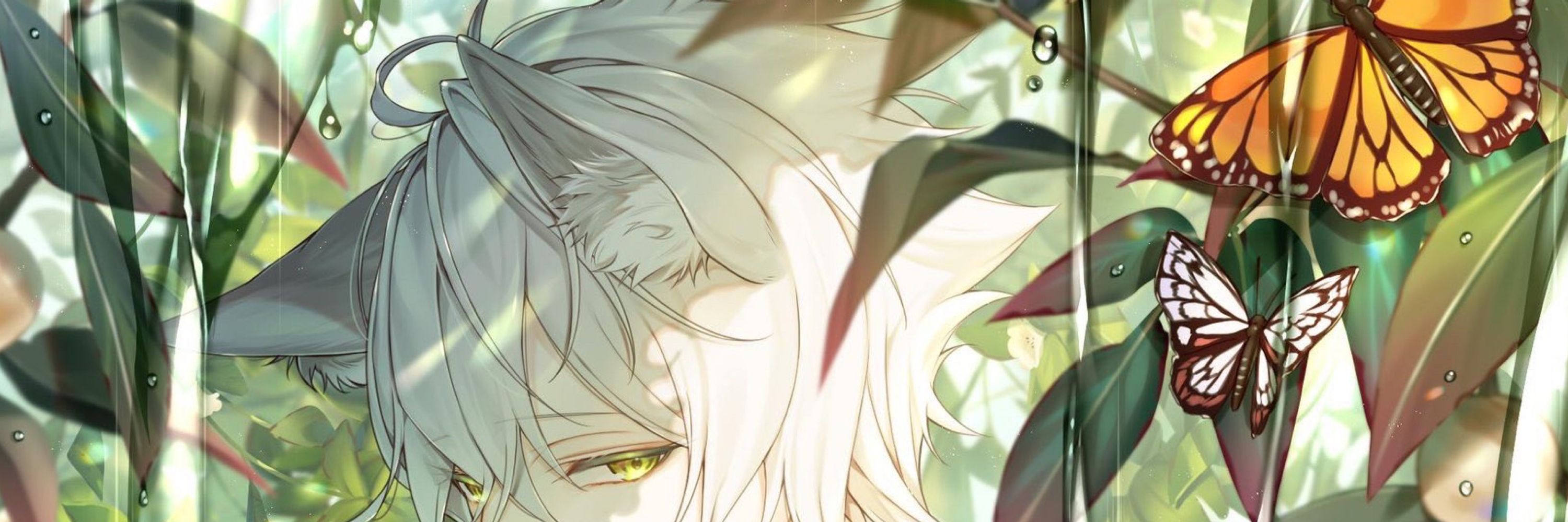 茲助 Cocosuke
