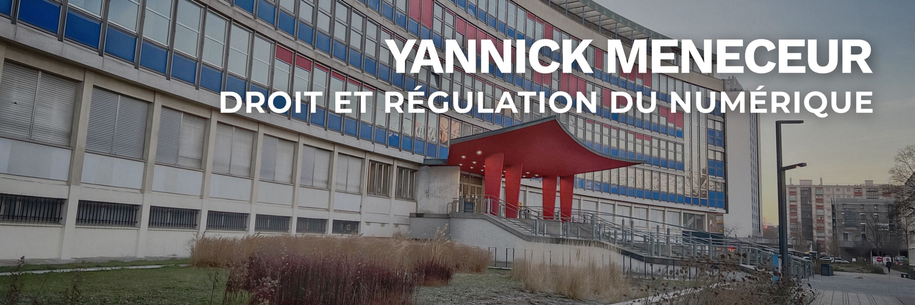 Yannick Meneceur