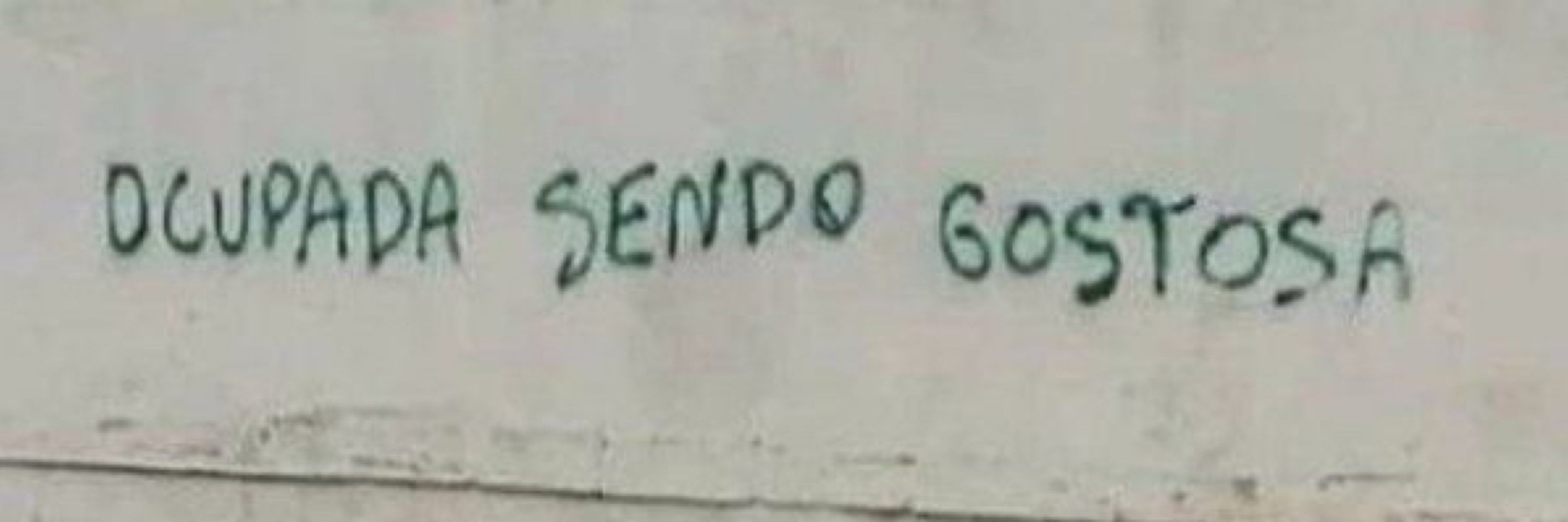 vi lima
