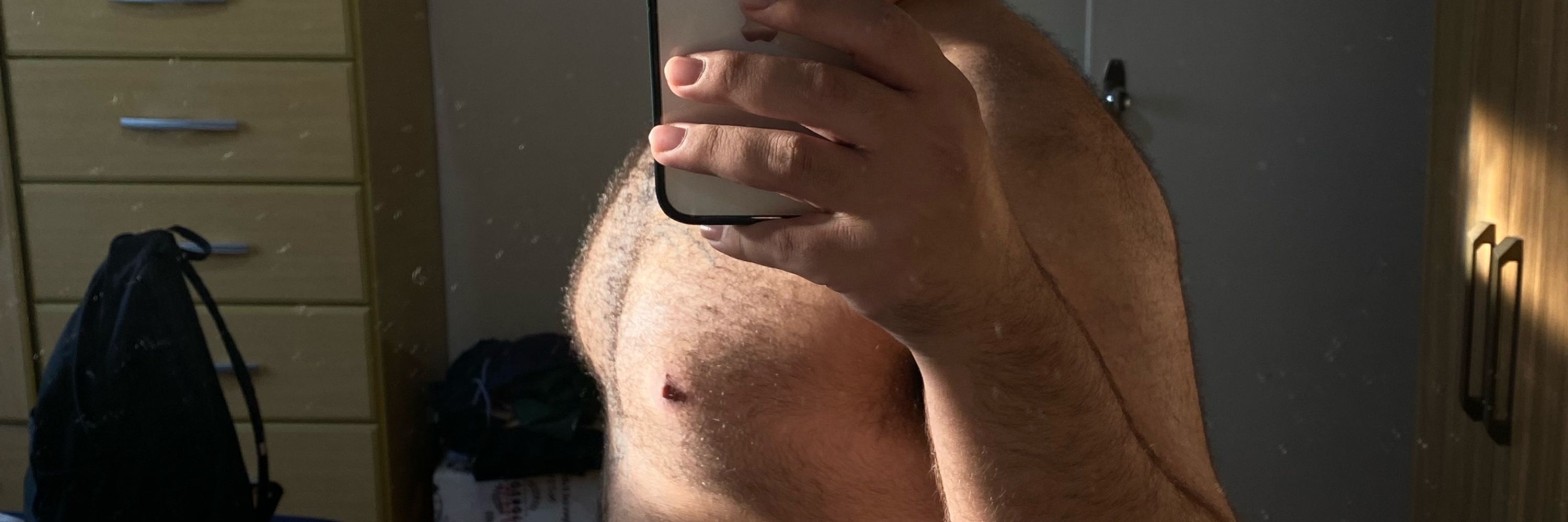 Mikael 🐻 