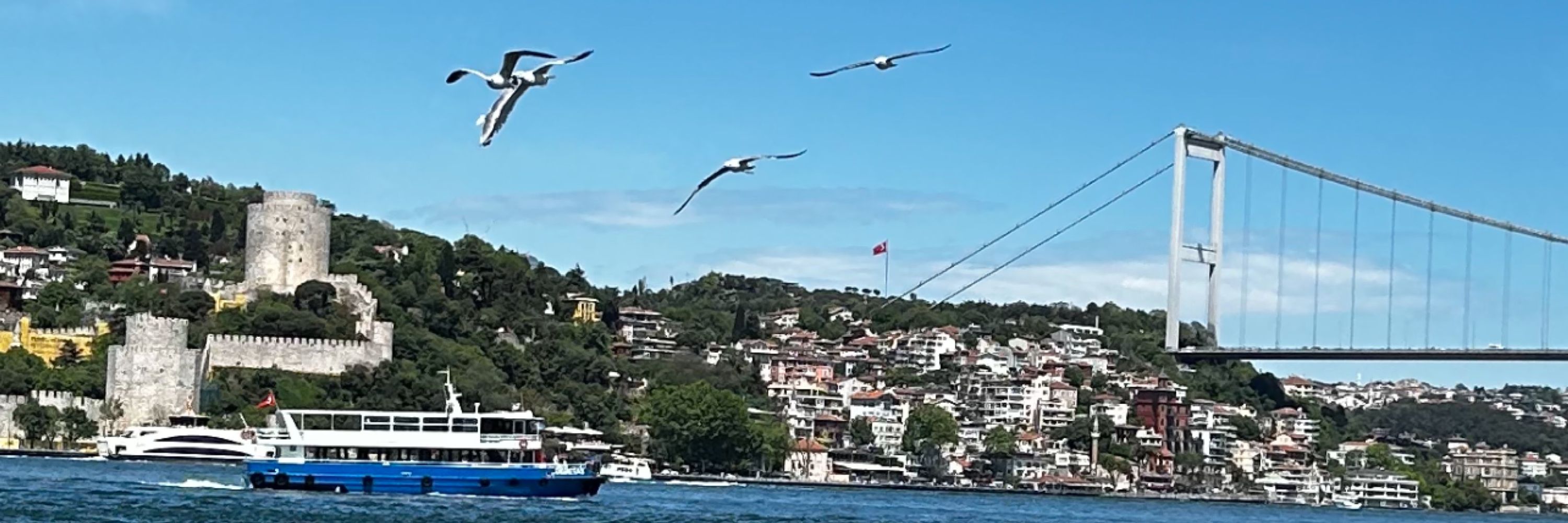 erguvani