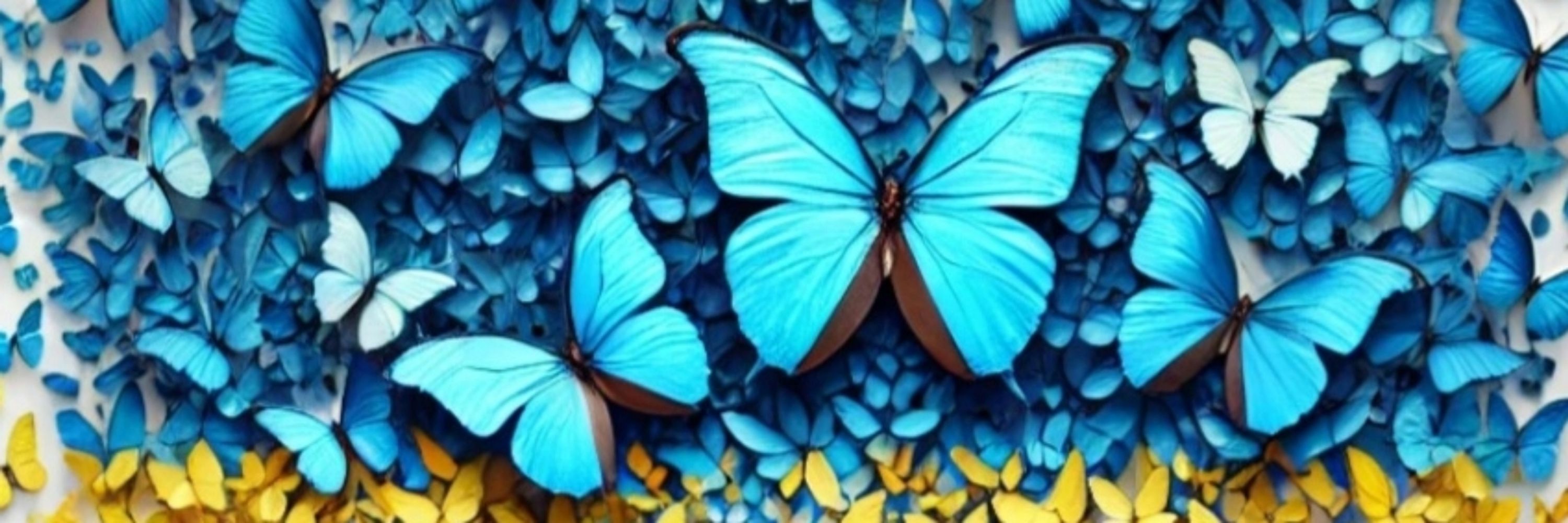 🦋⭐ CommStar⚡💙