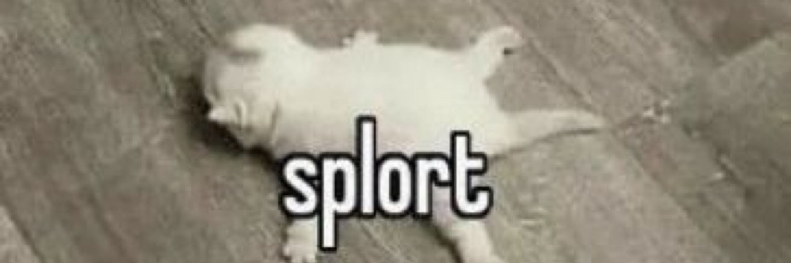 Kikkii Lemmon