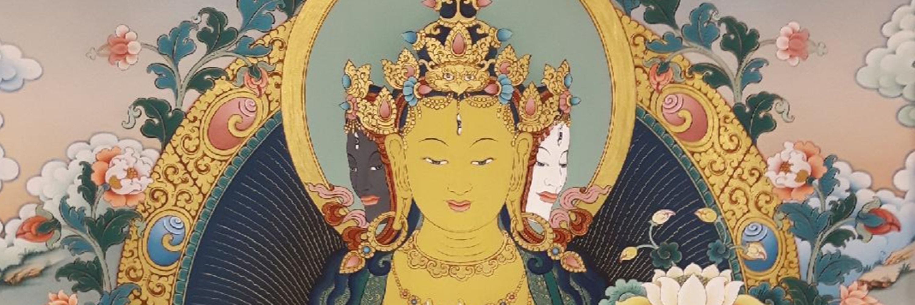 BuddhActivistFreePalestineCompassionAlways