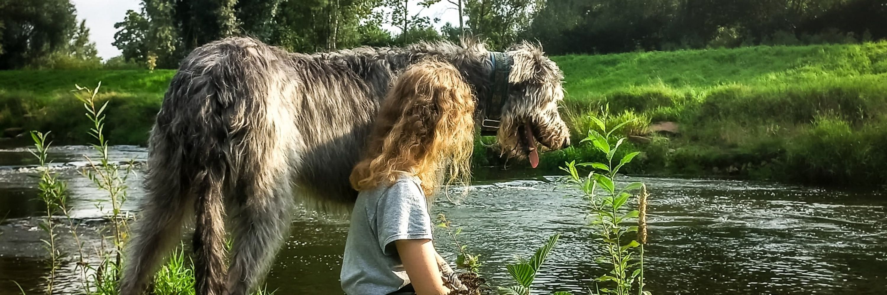 ronja
