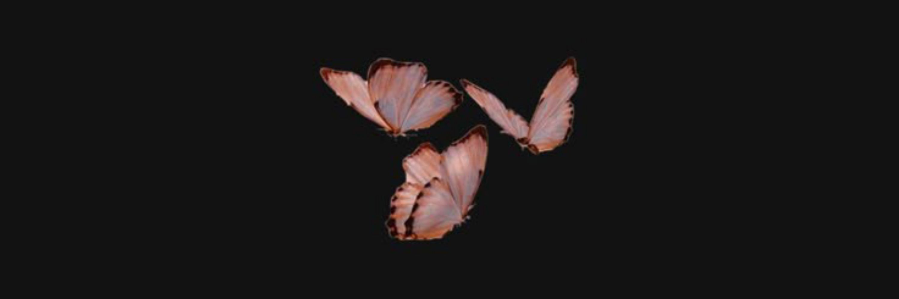 *＊✿❀　❀✿＊*