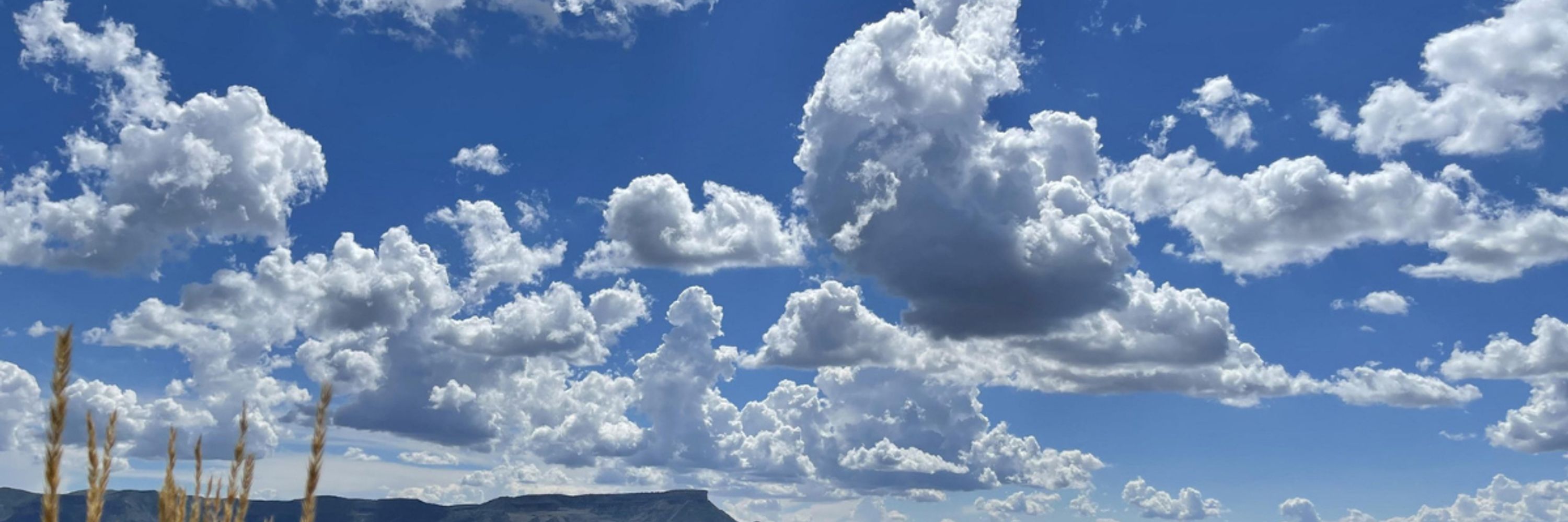 Cloud Goddess