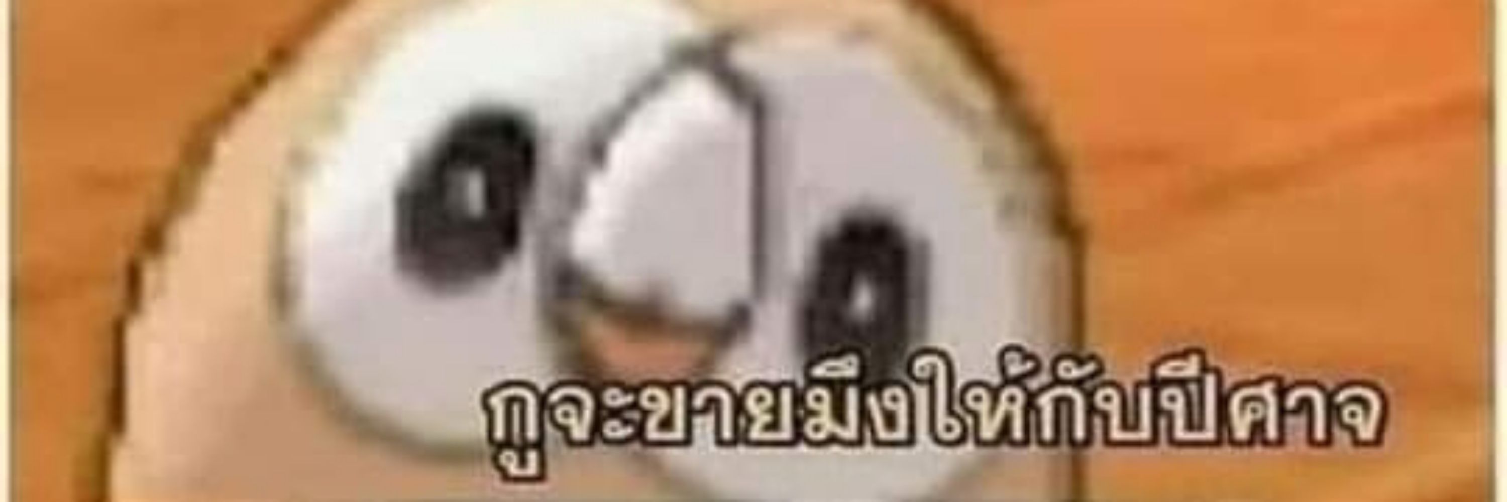 _mr.polarbear.