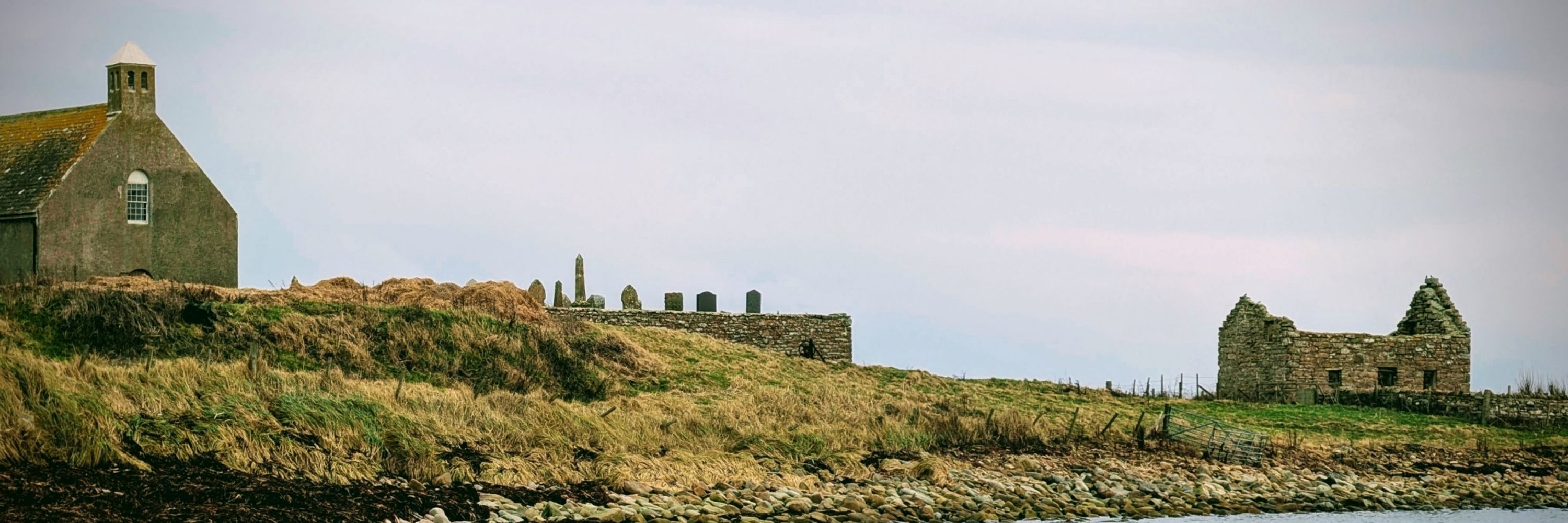 Orkney Raven