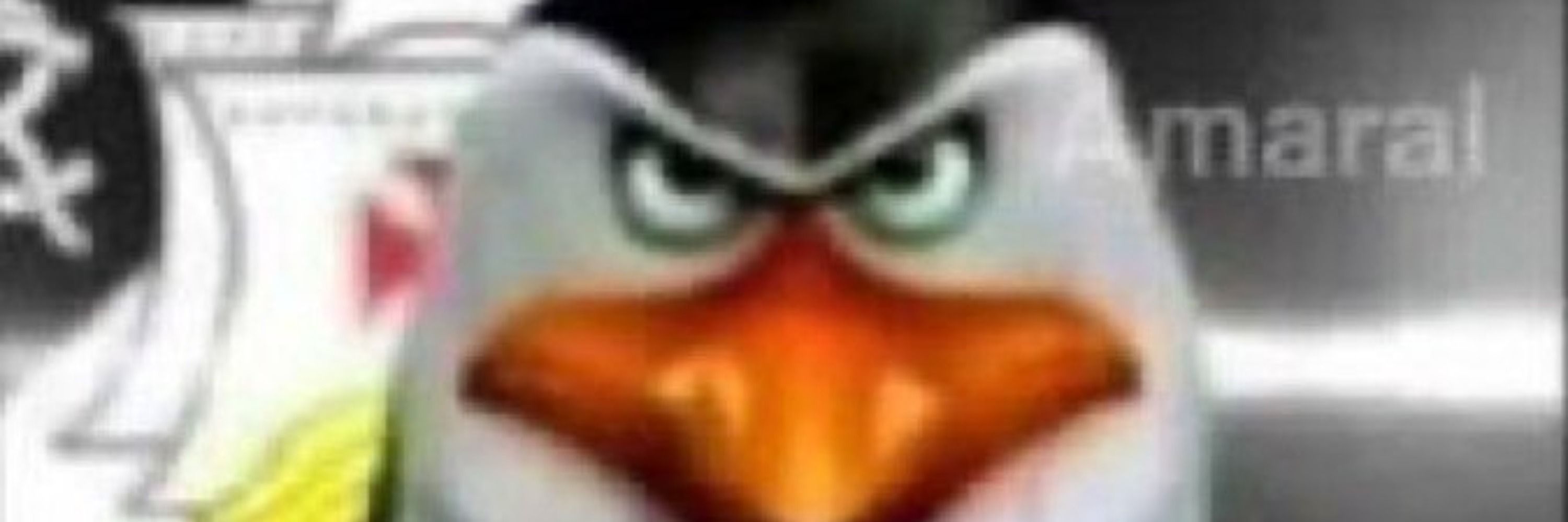 Raposo