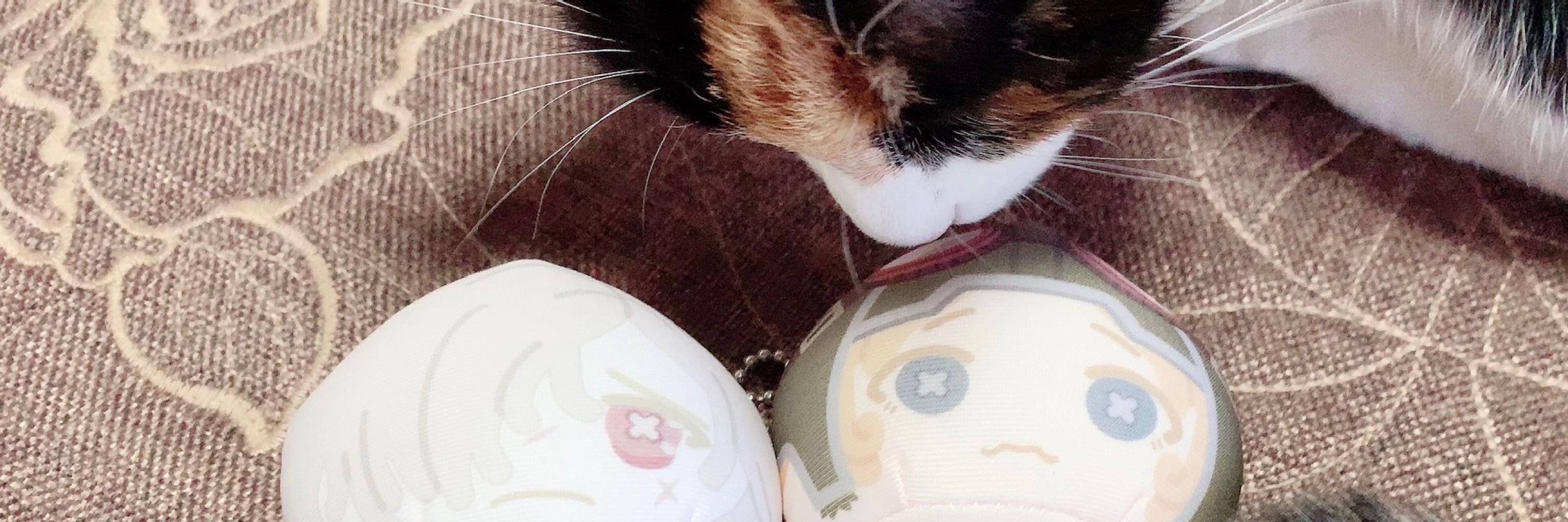 ぽにゅ