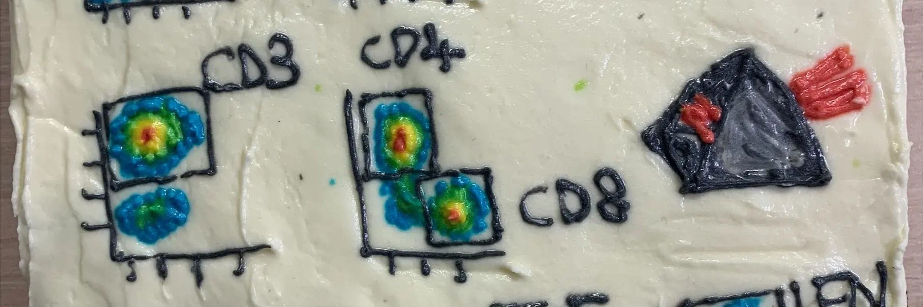 KCL CIBCI