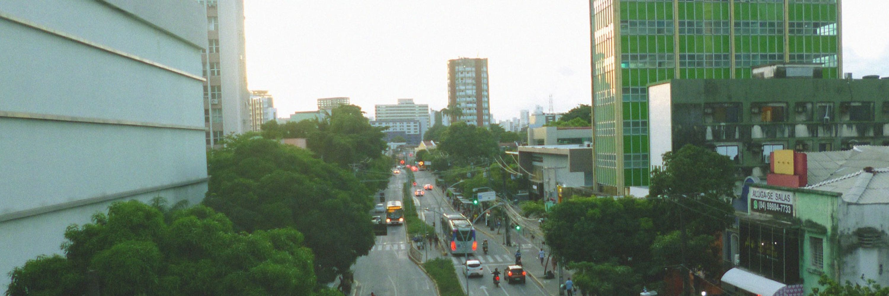 Oliveira Dumont