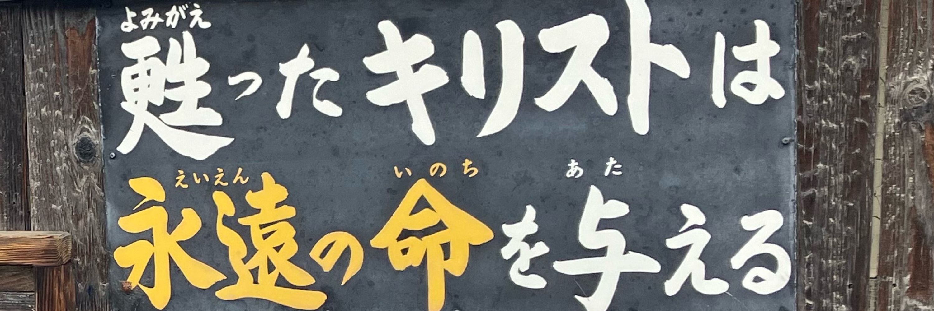 タンリュウキ